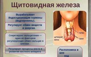 Как лечить щитовидную железу и что это такое