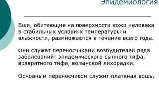 Популярные патологии кожи, вызванные паразитами
