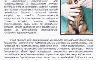 Лечение поноса у котят
