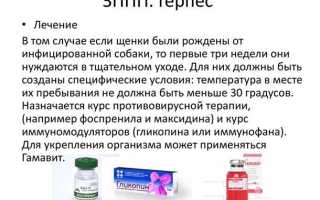 Как лечить герпес генитальный