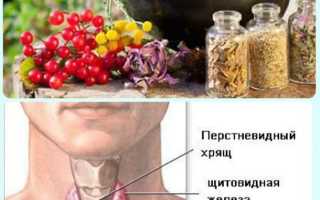 Как лечить щитовидку народными средствами