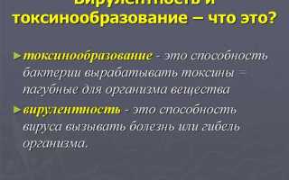 Что такое вирулентность