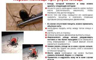 Симптомы при укусе клеща