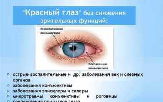 Жжение, боль и покраснение века — что говорят симптомы