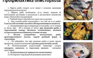 Как избавиться от описторхоза