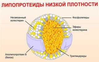 Увеличение липопротеинов низкой плотности: причины и последствия