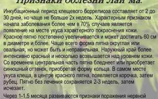 Симптомы лайма