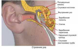 Пульсирует в ухе, как по часам!