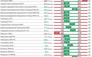 Натуральные способы повысить количество тромбоцитов в крови