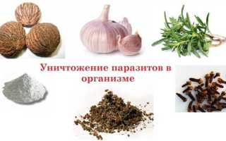 Как избавиться от глистов быстро