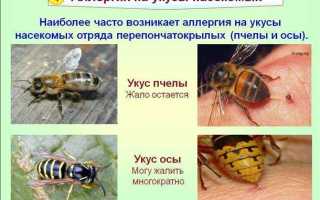 Чем лечить укус осы
