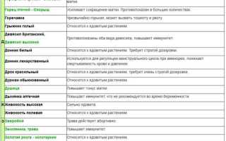 Абортивные народные средства