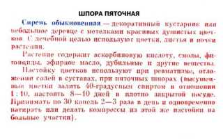 Чем лечить пяточную шпору