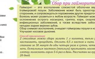 Как лечить гайморит народными методами